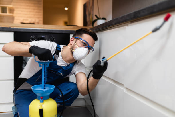 Best Commercial Pest Control Services  in Edgewood, TX