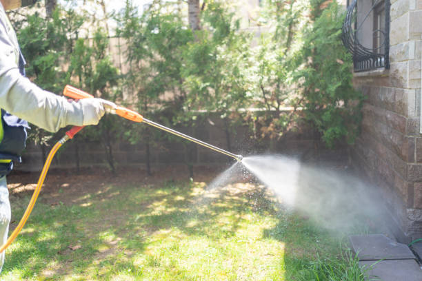 Wildlife Control Services in Edgewood, TX