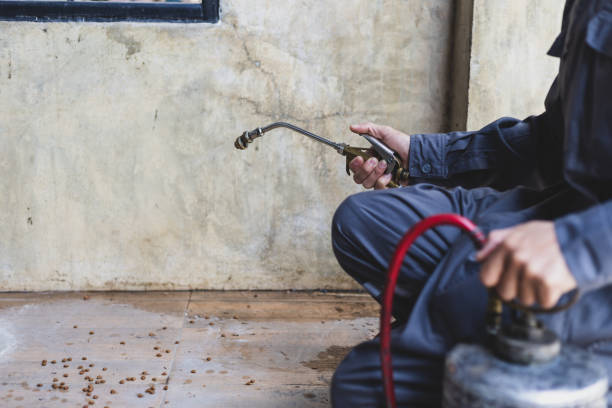 Best Pest Control Cost  in Edgewood, TX